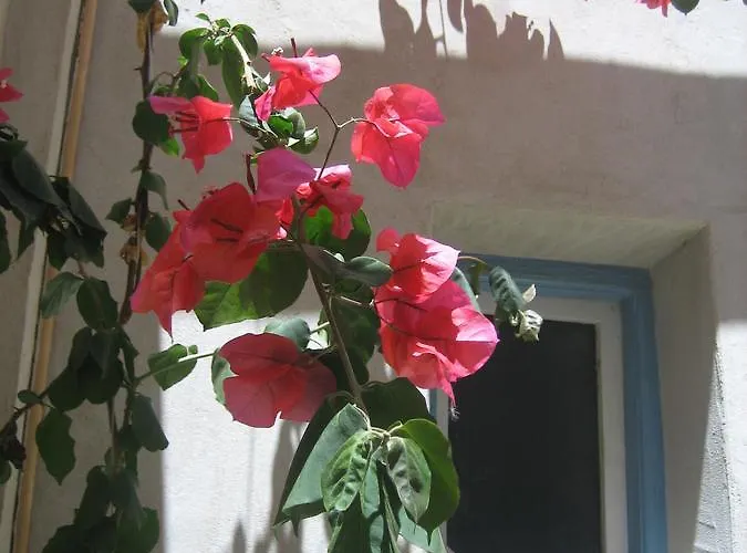 Anemomilos * Astypálaia