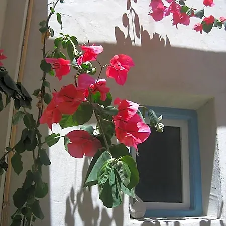 Anemomilos Hotel