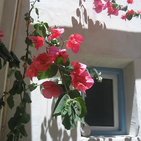Anemomilos * Astypálaia